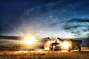 Creative Harvest Lights